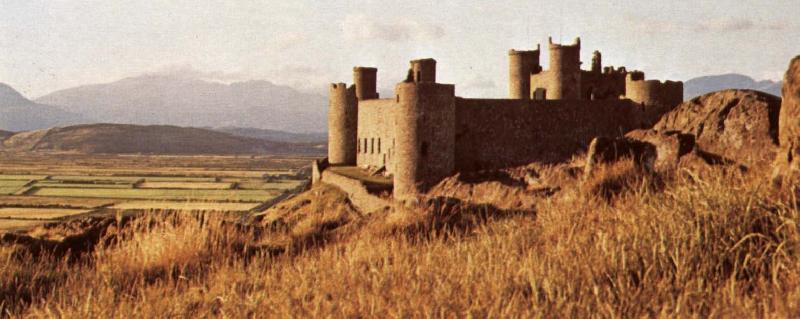 unknow artist Harlech Castle France oil painting art